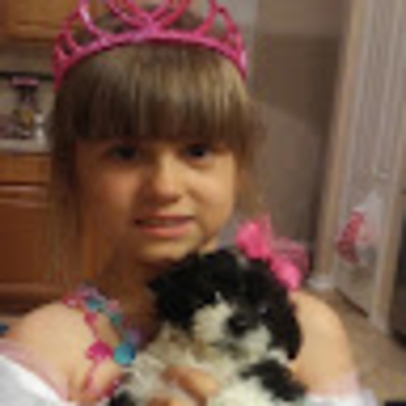 Meet your Posher, Sparkles - Picture 1 of 1